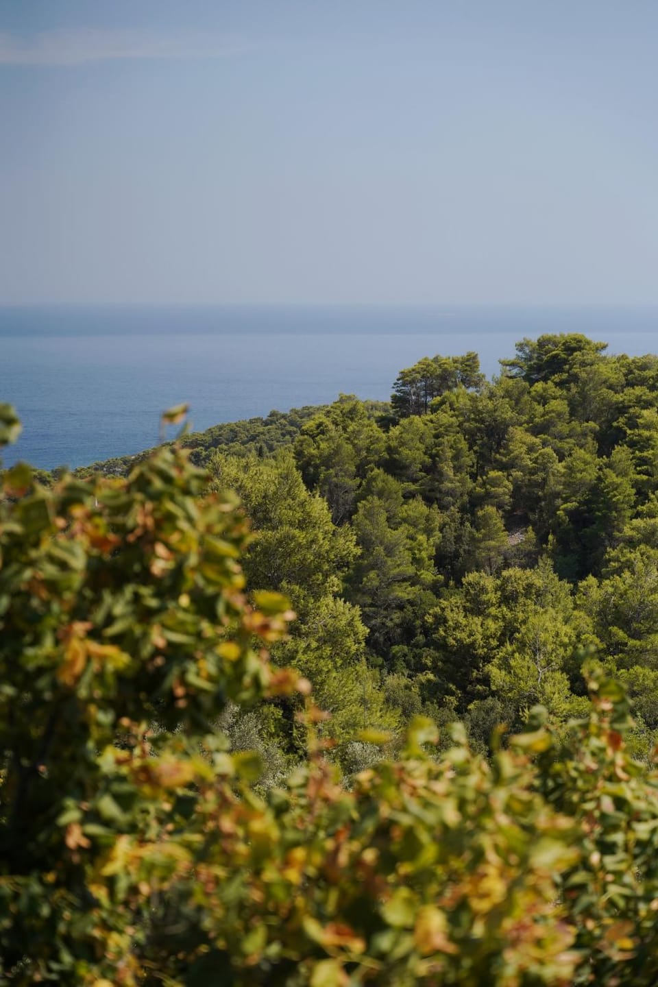 Sea view