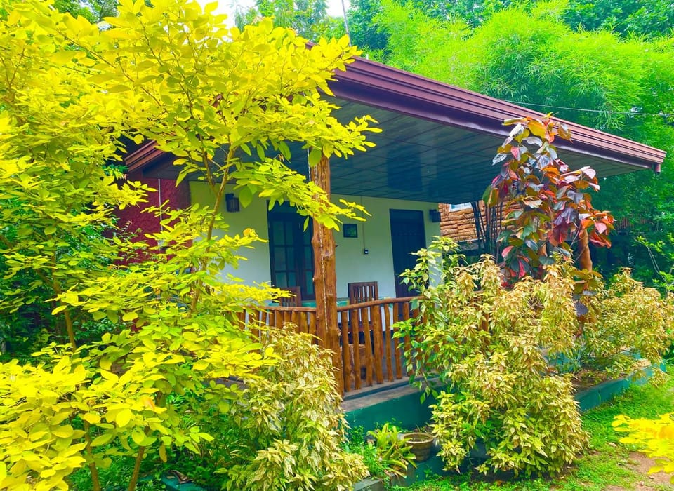 Property building, Spring
