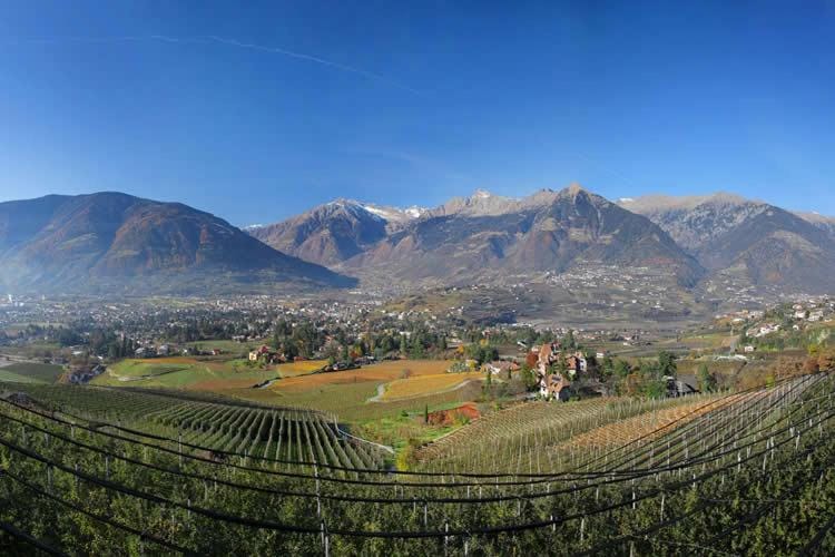 Natural landscape, View (from property/room), Mountain view