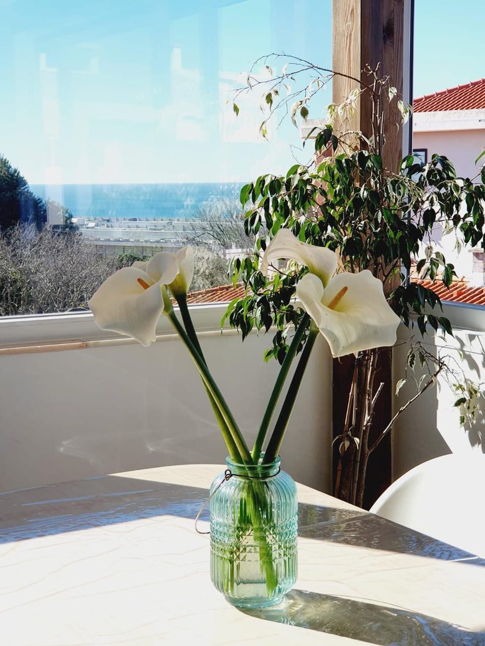White House Apartment in Lisbon District