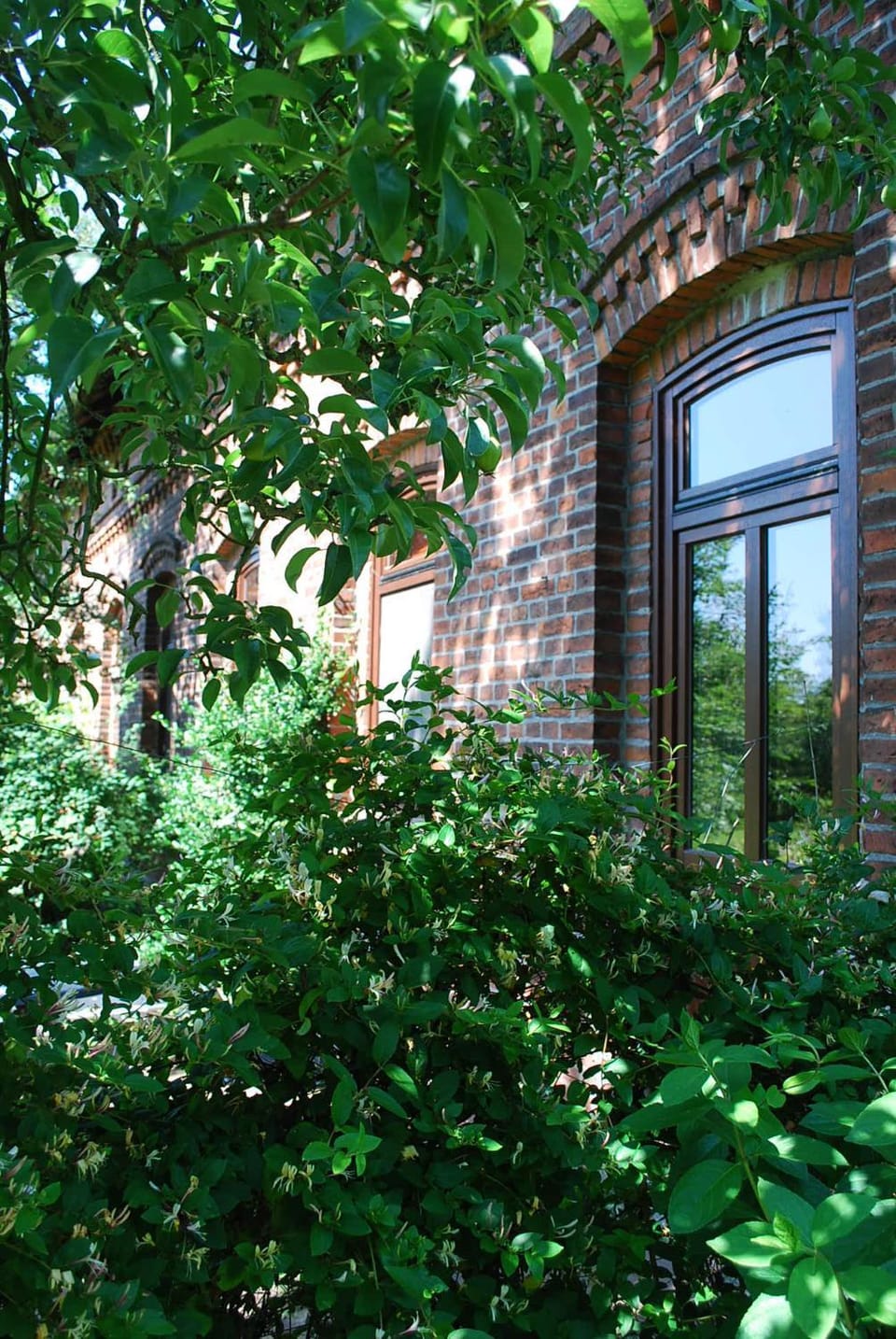 Property building, Garden, Balcony/Terrace