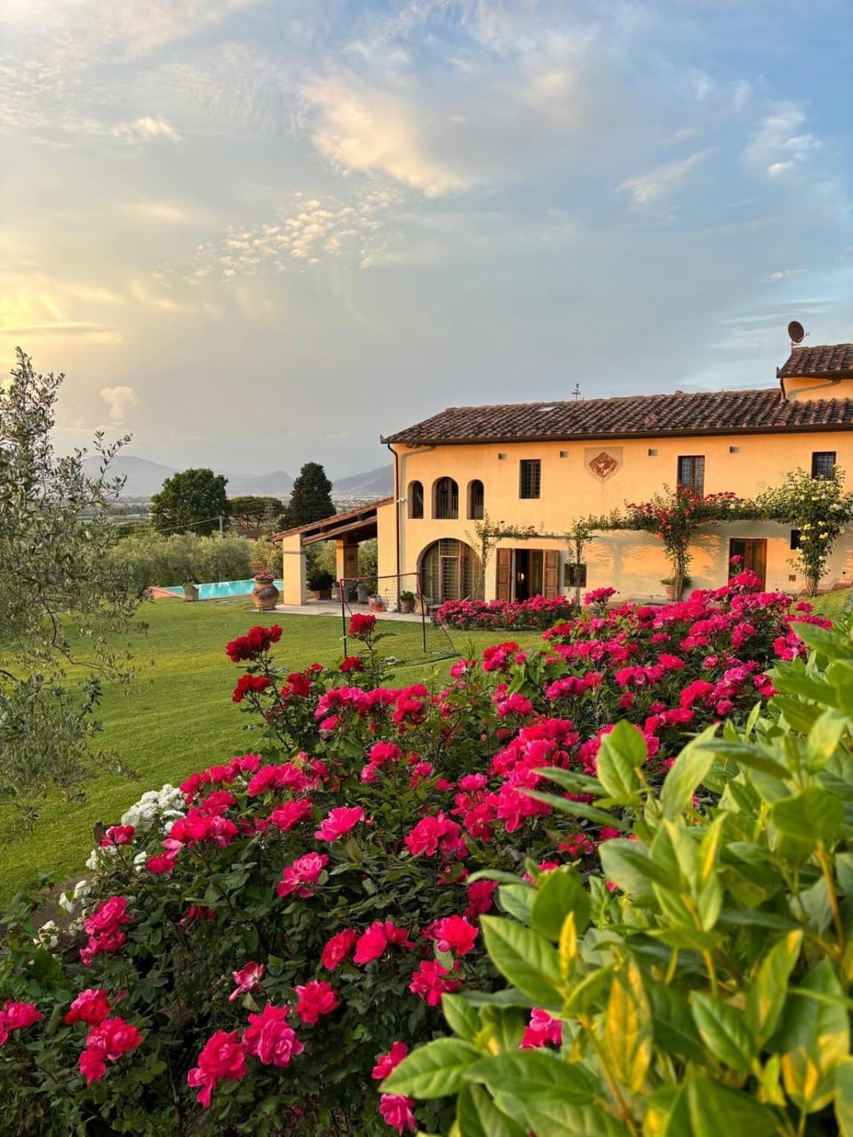 Garden, Garden view