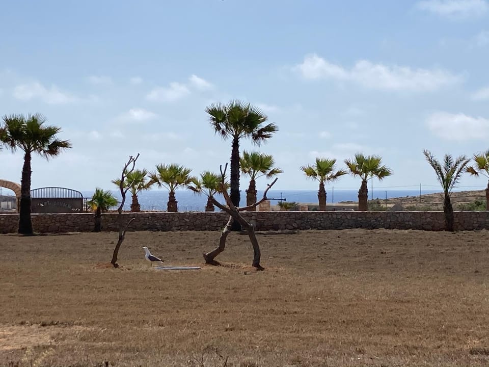 Sea view