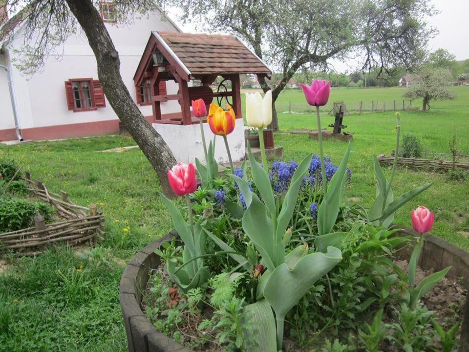 Múltidéző Porta - Népi Műemlék Házak az Őrségben Apartment in Slovenia
