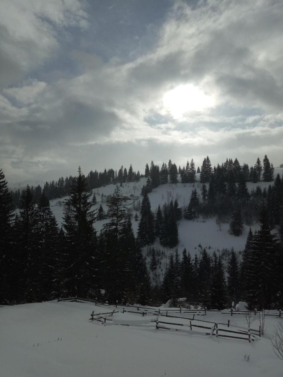 Mountain view