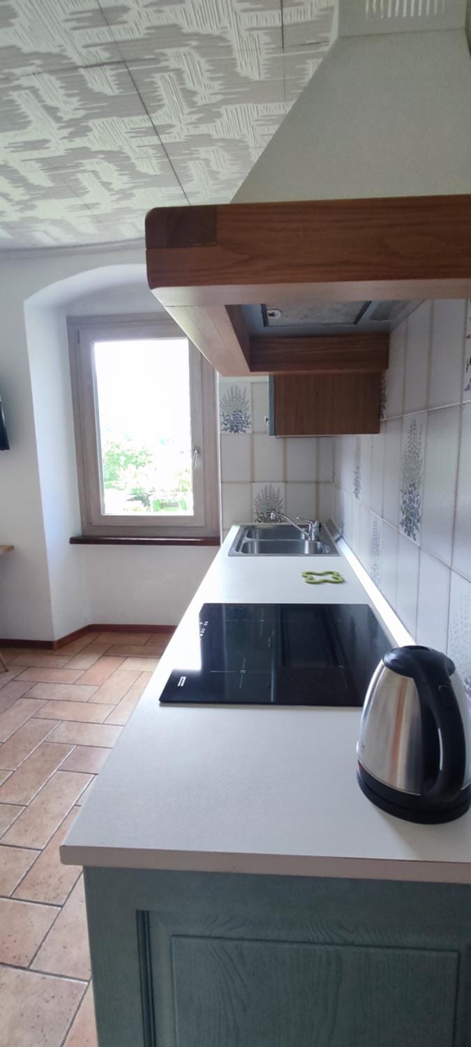 Ledro Lake Suite "Pur" Apartment in Ledro