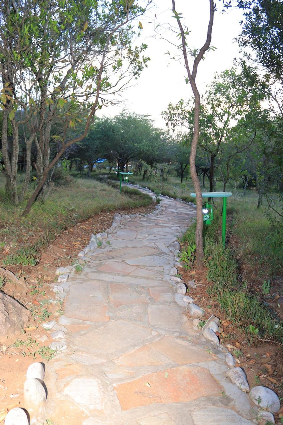 Natural landscape