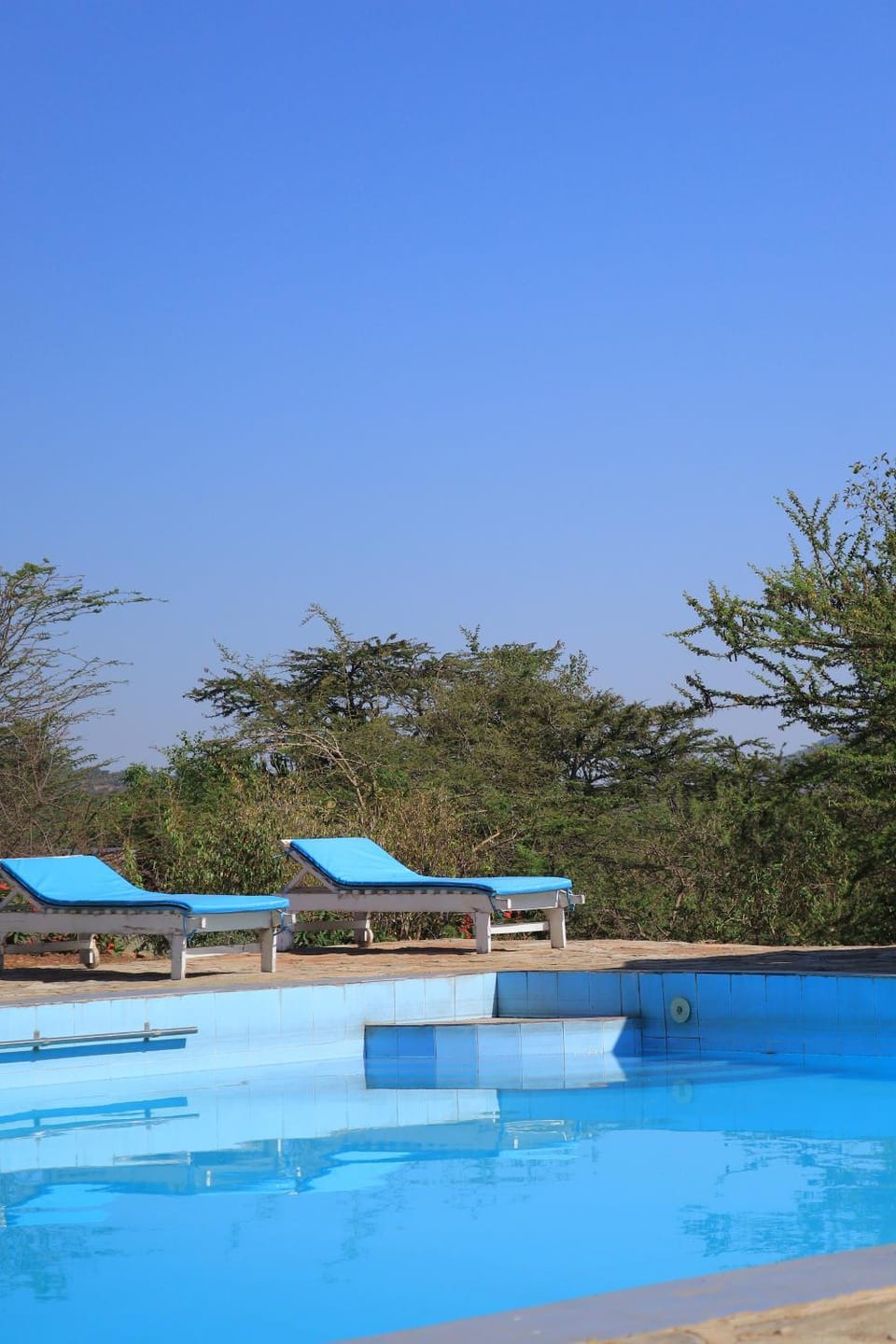Pool view, Swimming pool