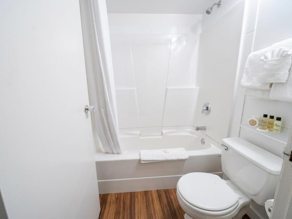 Toilet, Bathroom, Bath