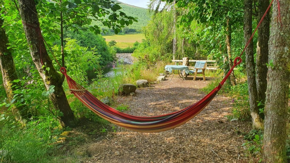 Natural landscape, Garden, Garden view, River view