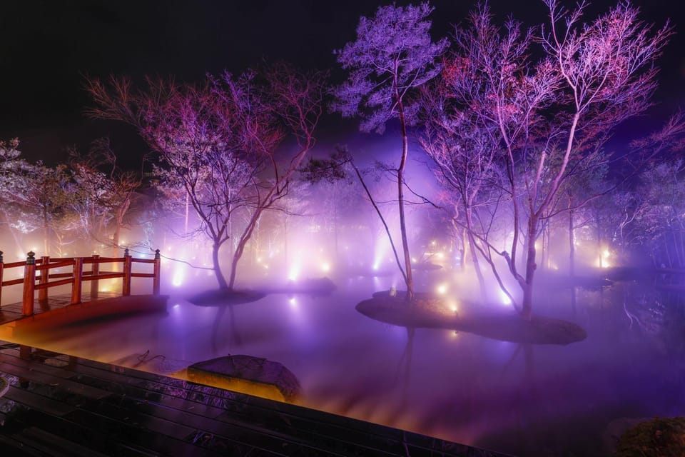 Night, Garden