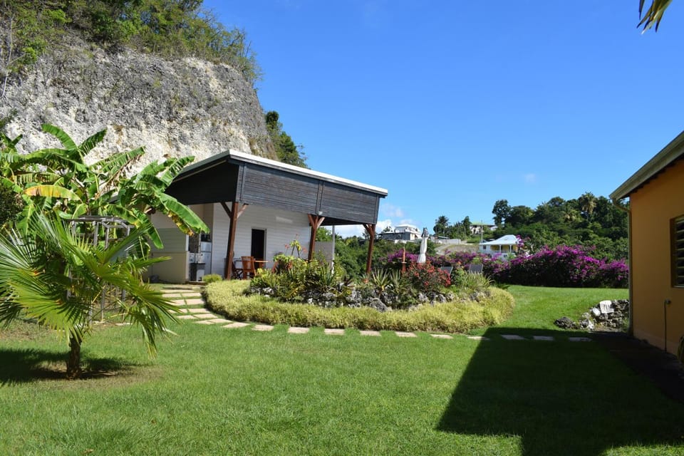 Day, Natural landscape, Garden, Garden view