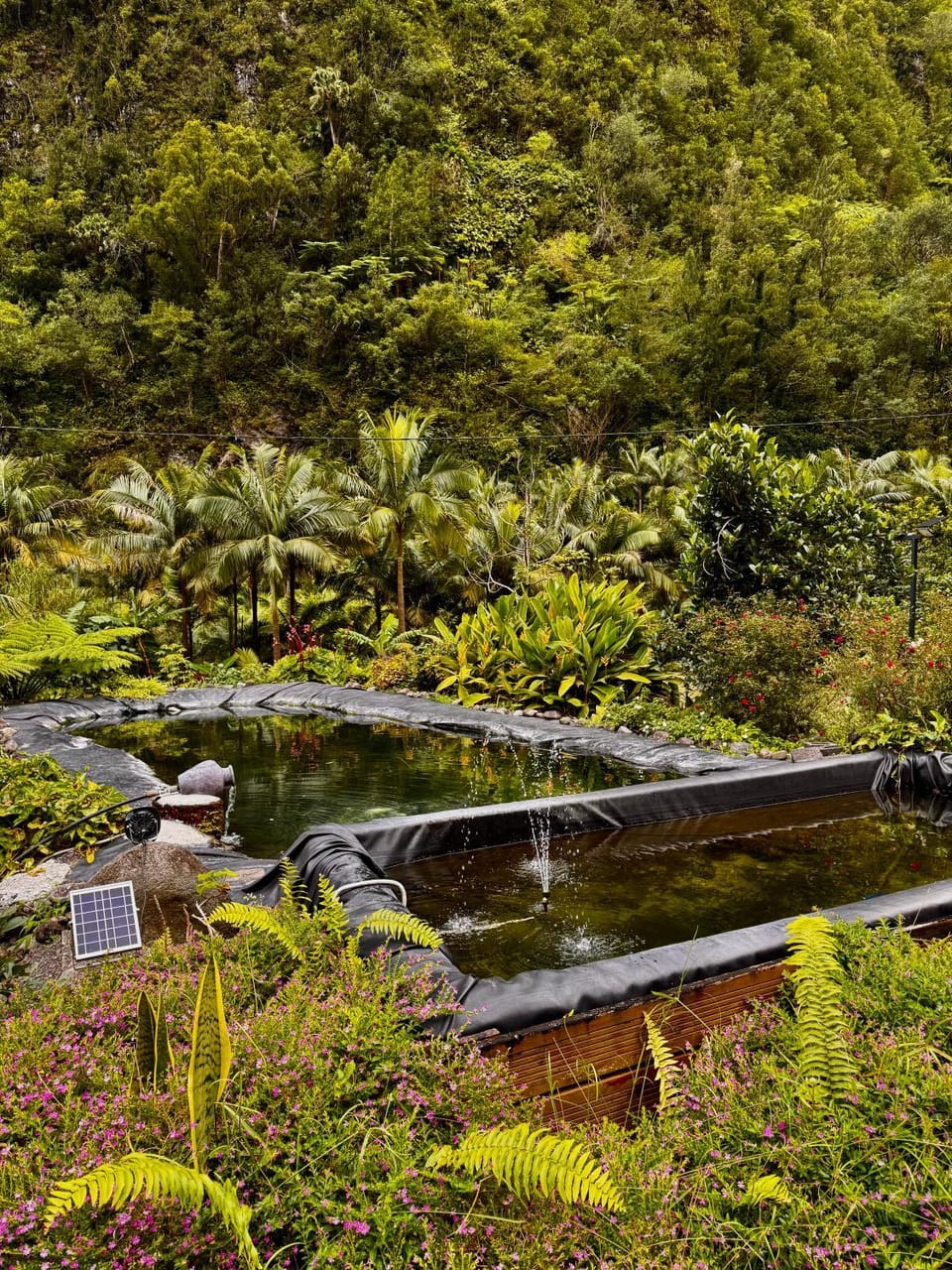 L'Escale Royale Bed and Breakfast in Réunion