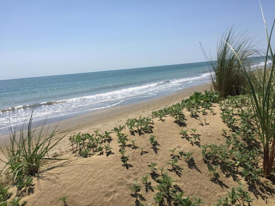 Natural landscape, Beach, Hiking