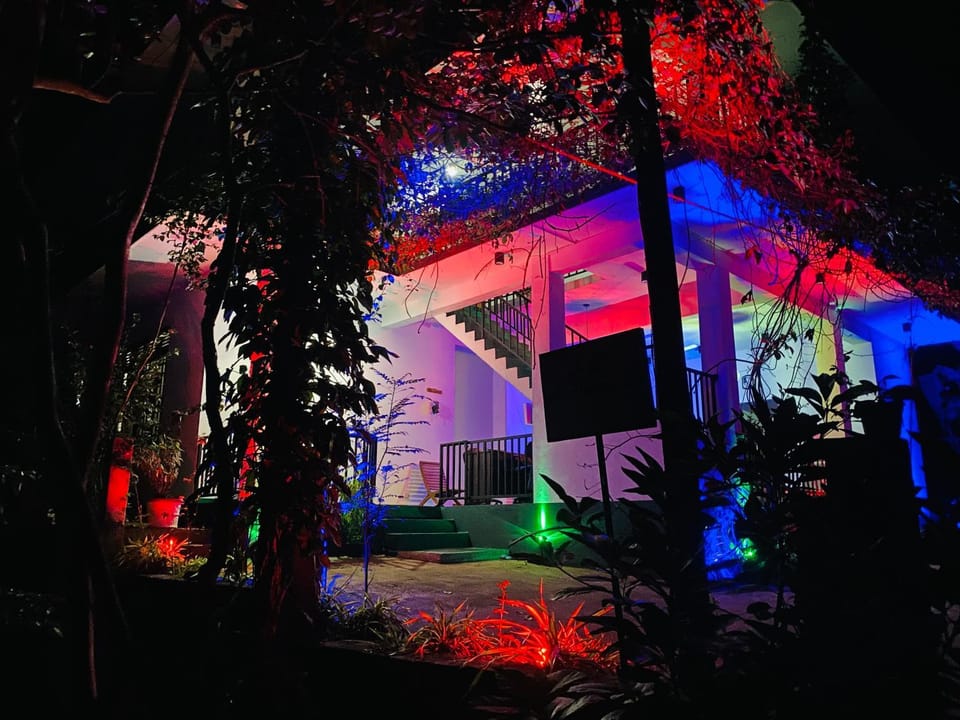 Night, Garden view