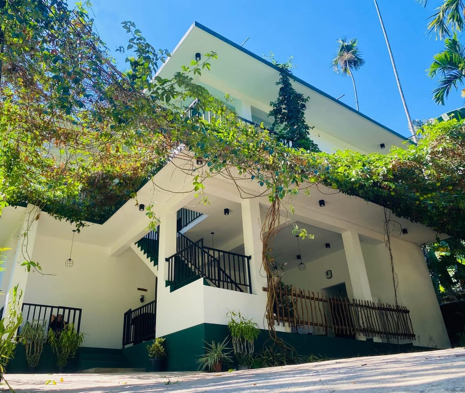 Property building, Day