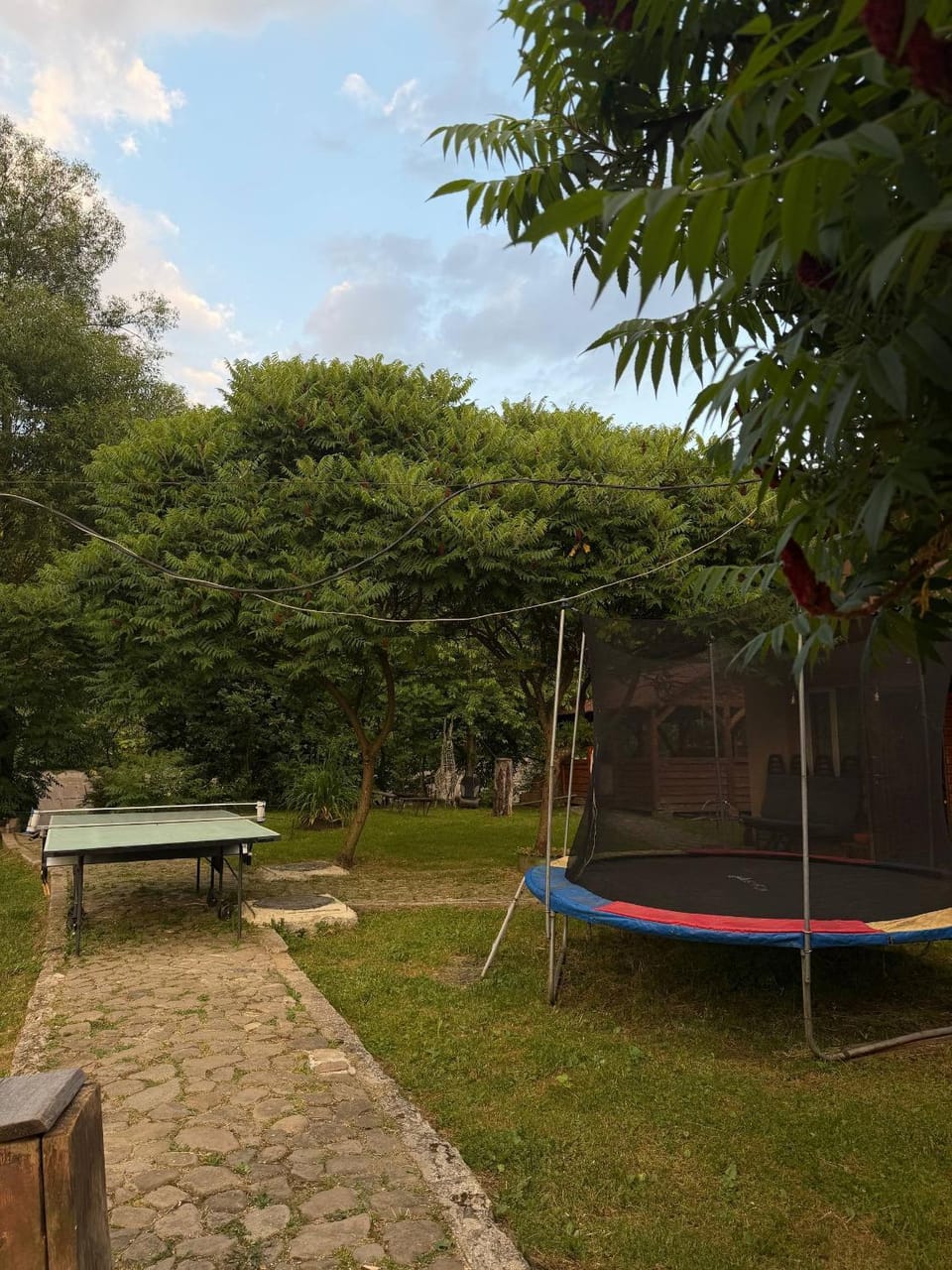 Шале " Компанійське" Nature lodge in Lviv Oblast