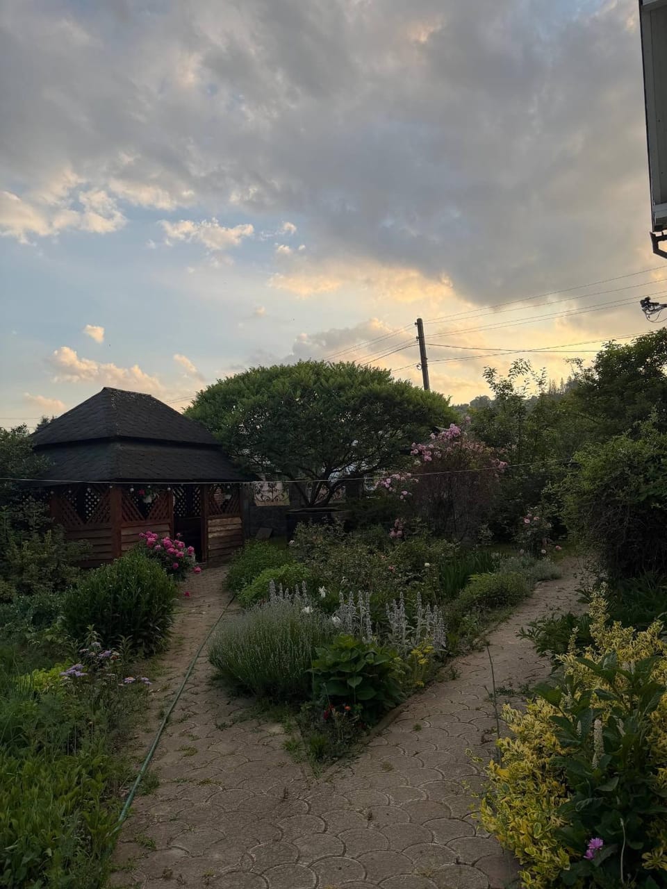 Шале " Компанійське" Nature lodge in Lviv Oblast