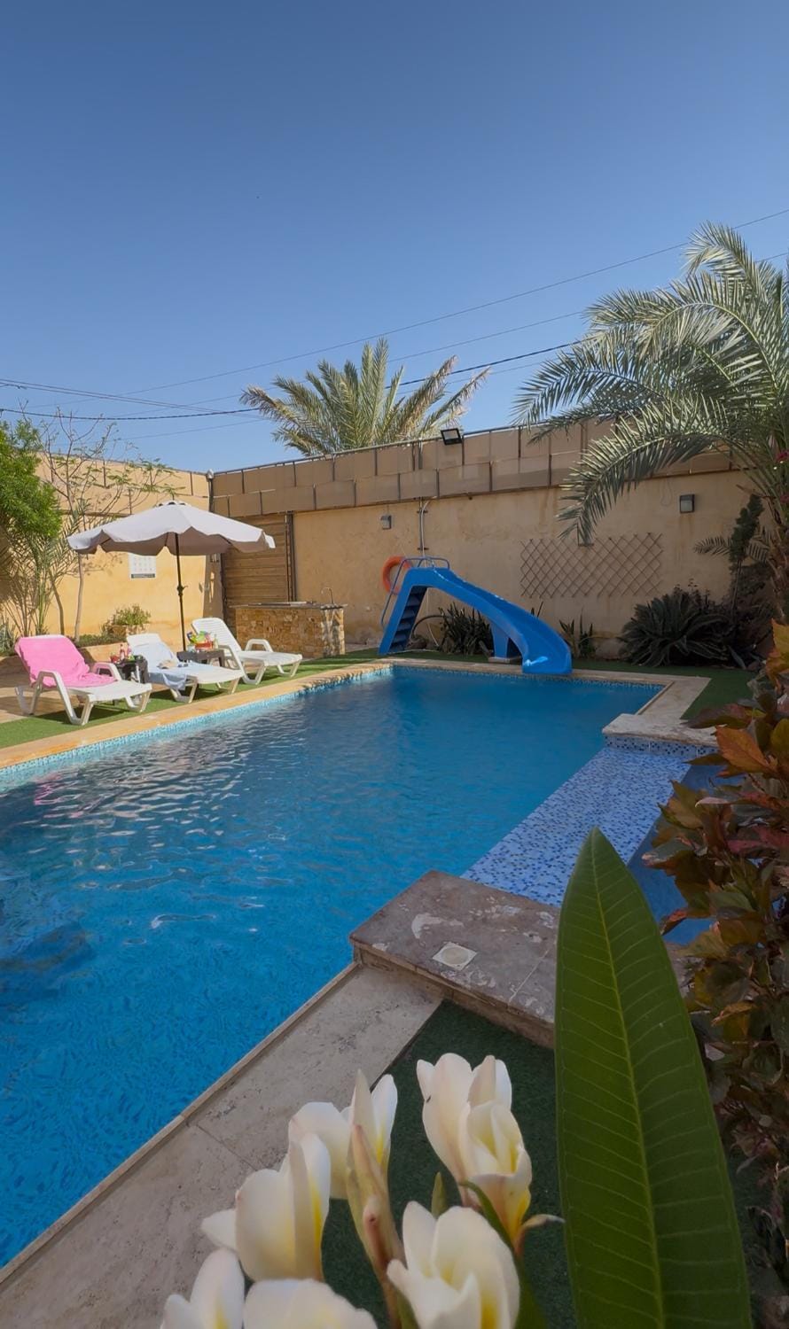 Day, Pool view, Swimming pool, sunbed