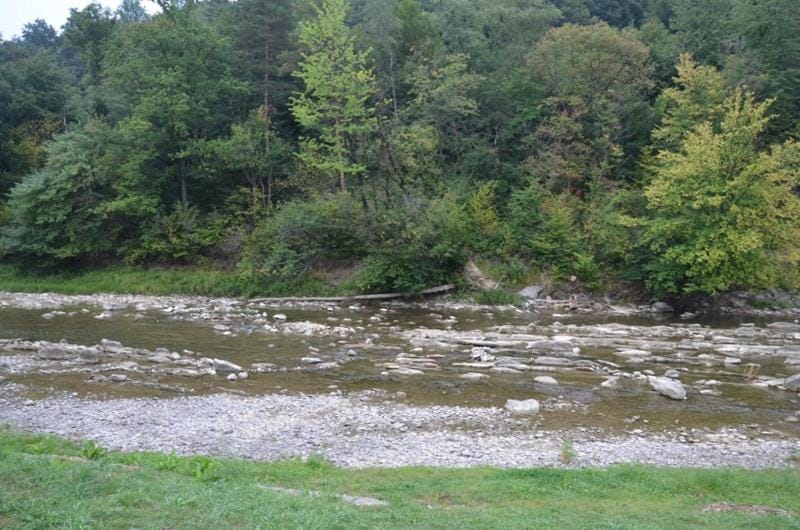 Spring, Day, Natural landscape, River view