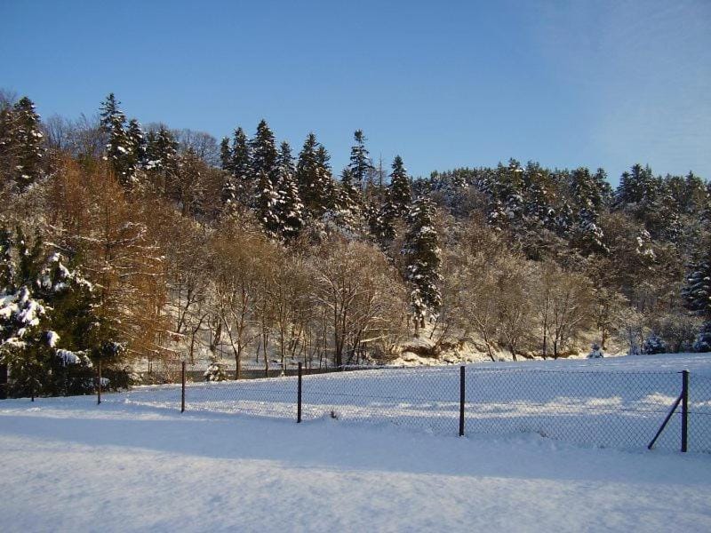 Natural landscape, Winter