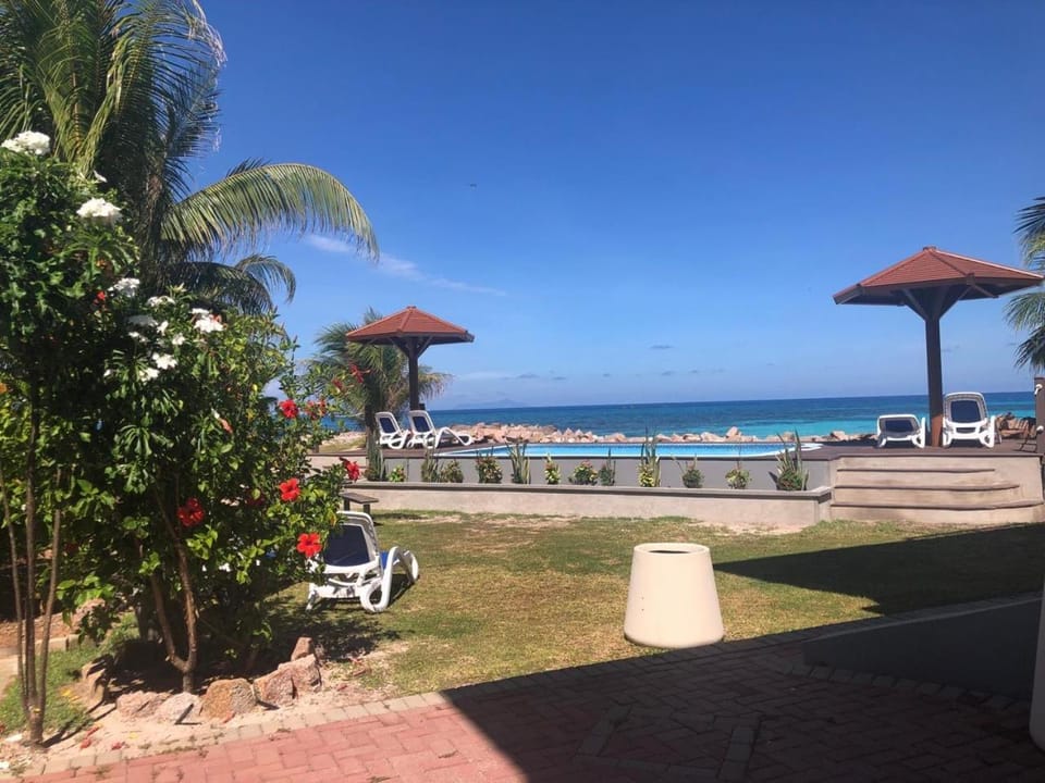 Garden, Beach, Garden view, Sea view, Swimming pool, sunbed