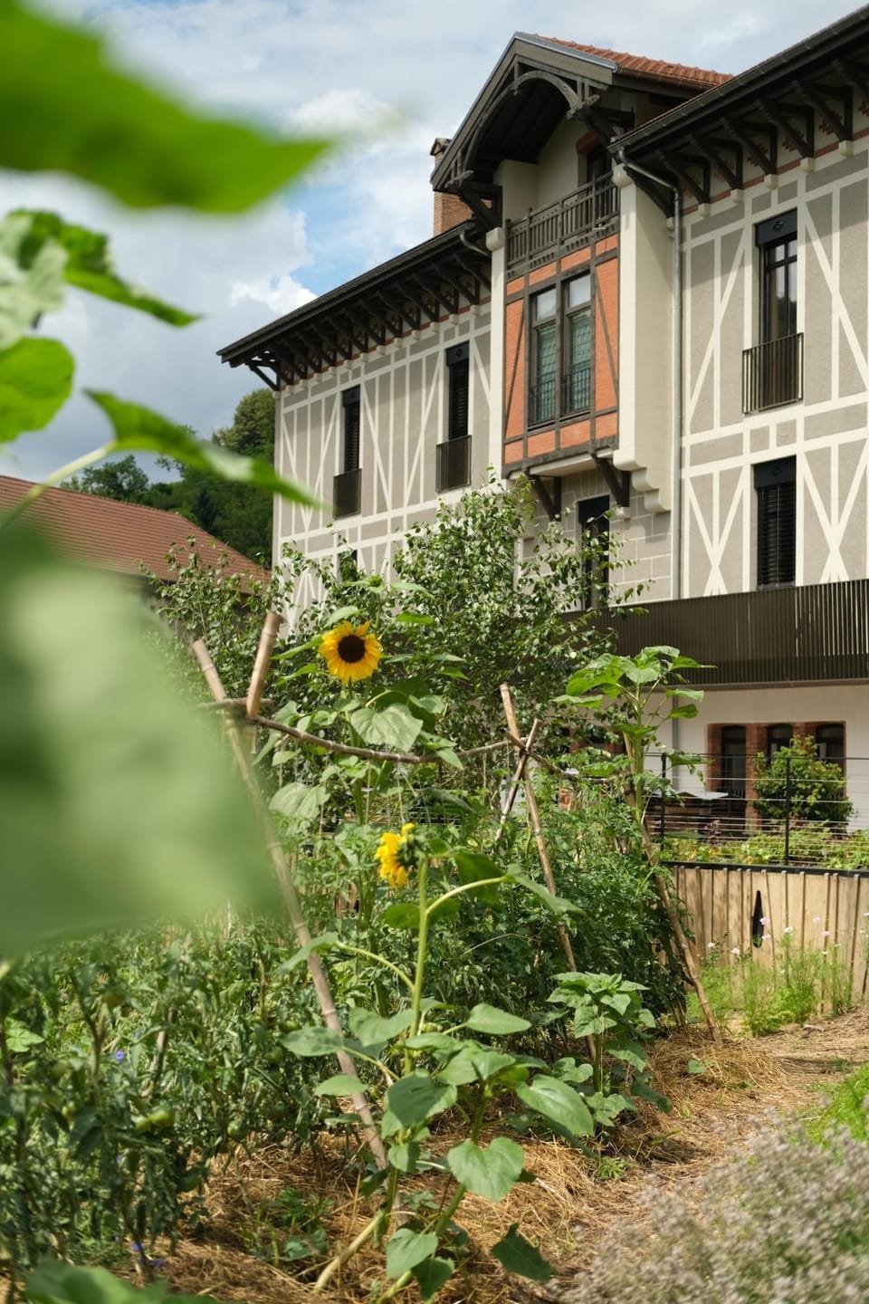 Property building, Garden