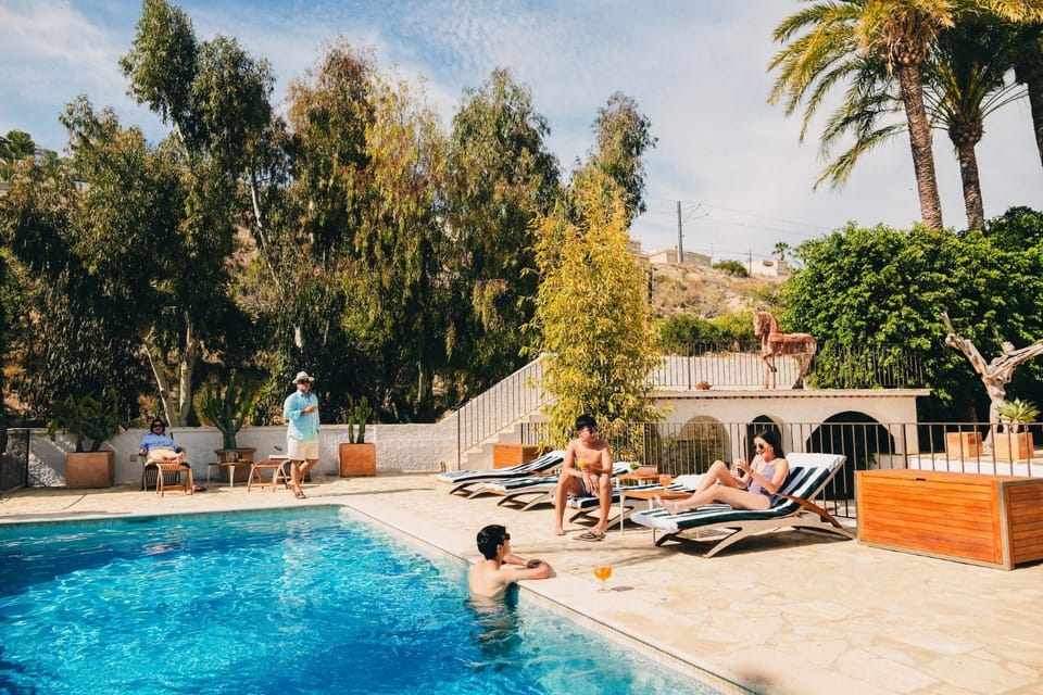 Garden, Pool view, Swimming pool