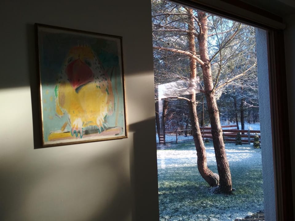 Natural landscape, Garden, Photo of the whole room, Decorative detail, Area and facilities