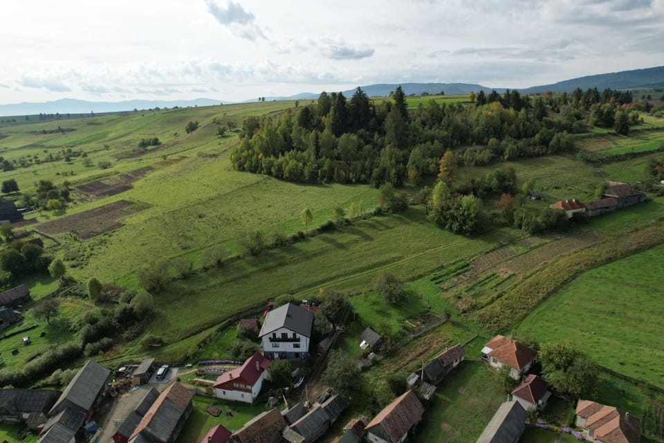 Cazare la Mitică House in Romania