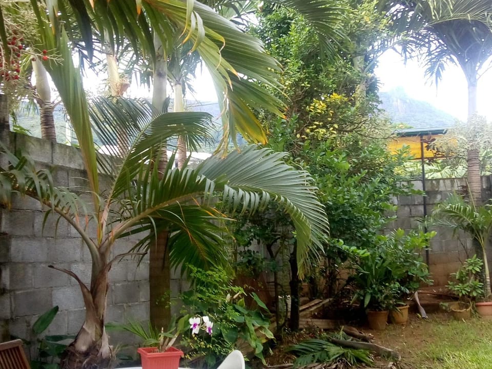 Garden, Garden view