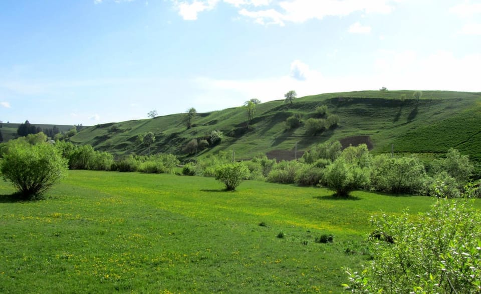 Natural landscape