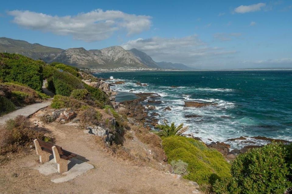 The Sun, Whales & Waves - Seafront Apartment Apartment in Hermanus