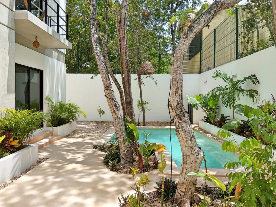 Swimming pool, Swimming pool