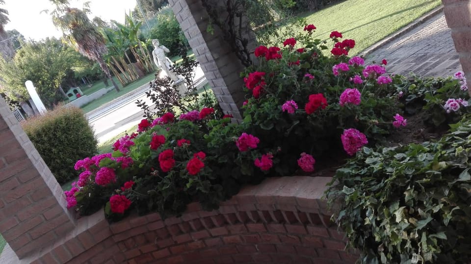 Luconi Affittacamere Bed and Breakfast in Umbria