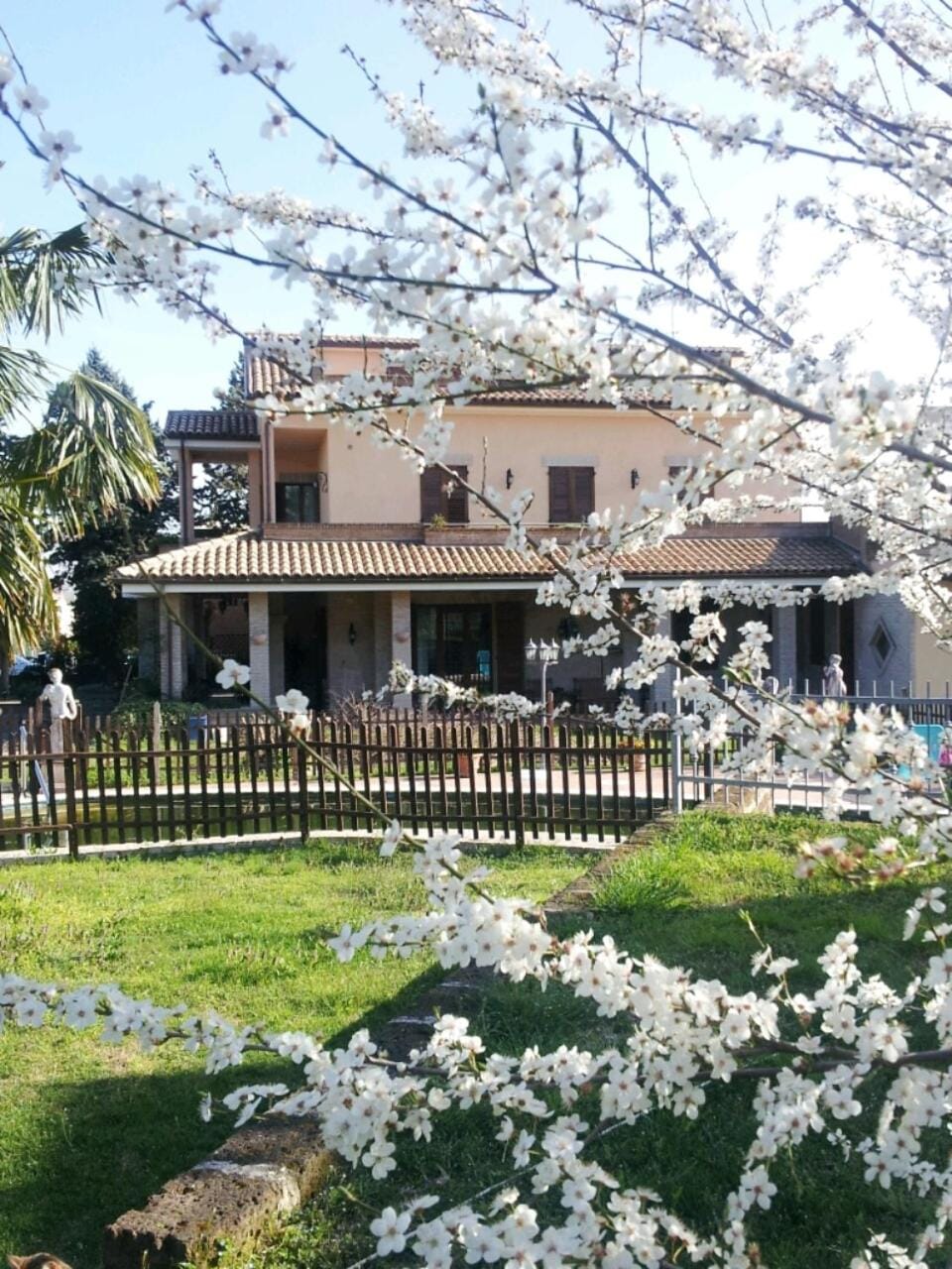 Property building, Day, Garden