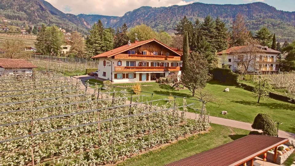 Property building, Spring, Bird's eye view, Garden, Garden, Swimming pool