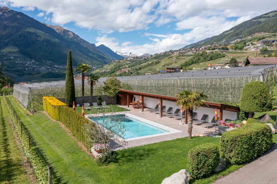 Natural landscape, Garden, Mountain view, Swimming pool, Swimming pool, sunbed