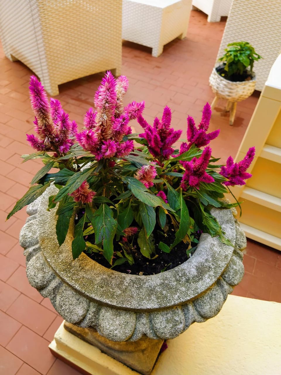 Ca’Tronconi ai Frari Apartment in Venice
