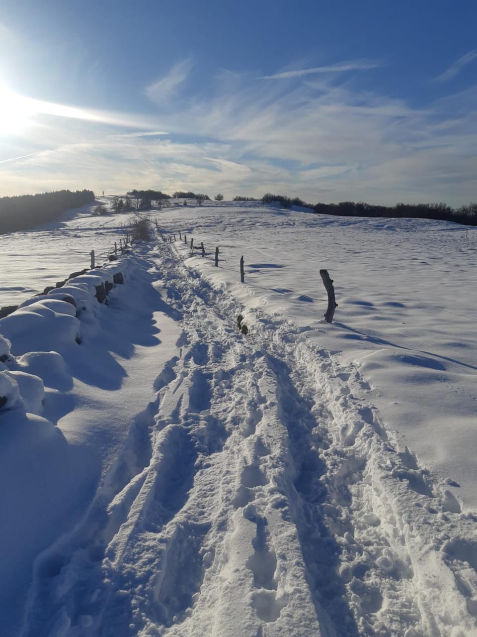 Natural landscape, Winter