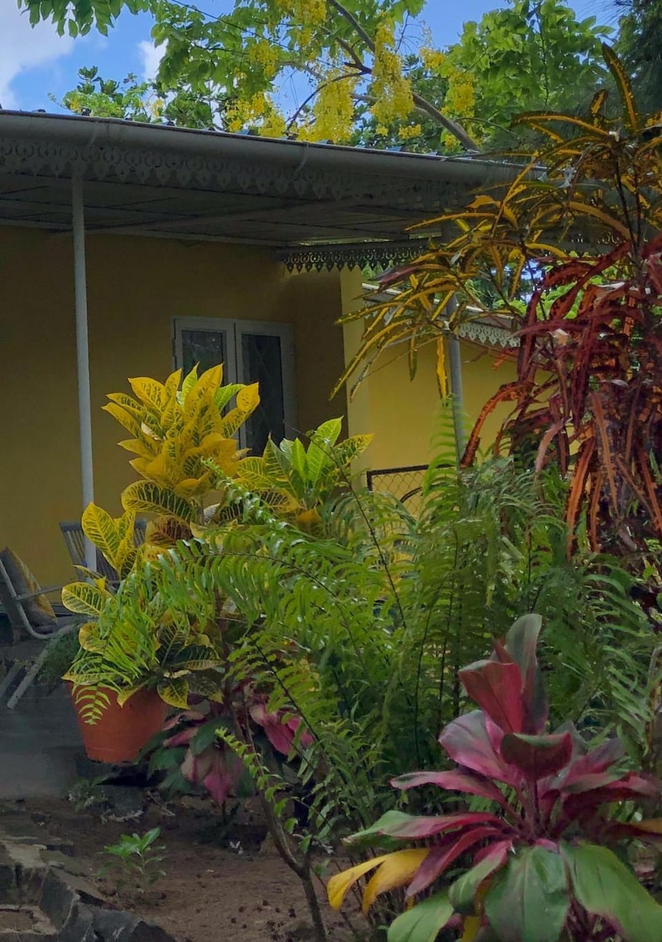Property building, Garden view