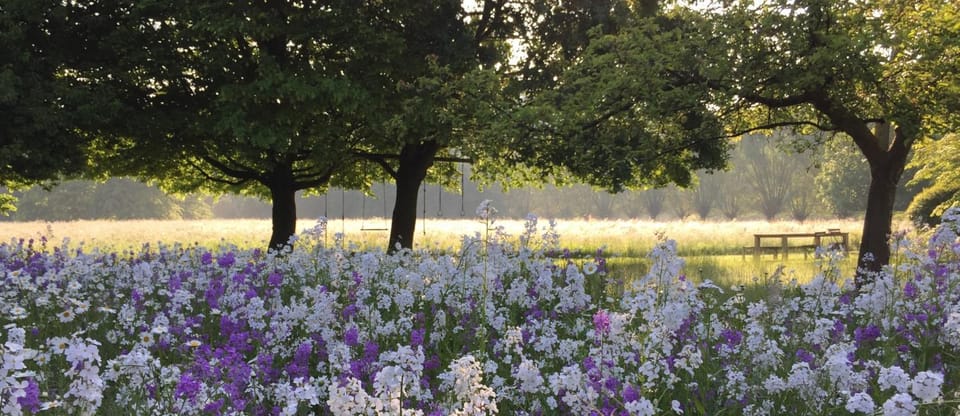 Spring, Natural landscape, Garden, Sunset