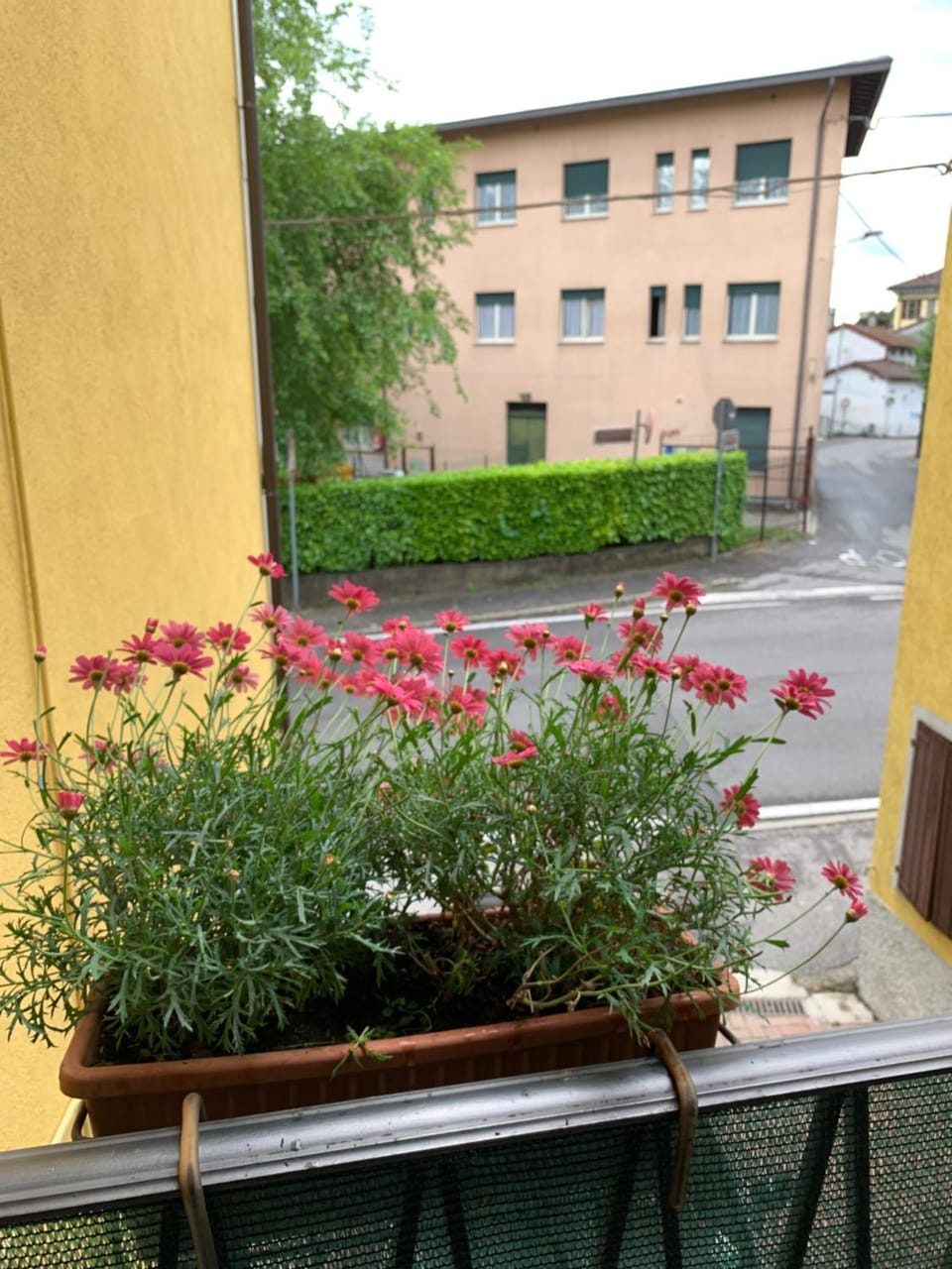 View (from property/room), Balcony/Terrace, Street view