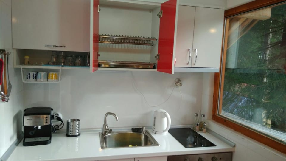 Coffee/tea facilities, Kitchen or kitchenette