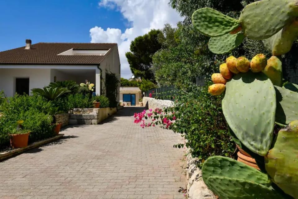 Property building, Facade/entrance, Garden