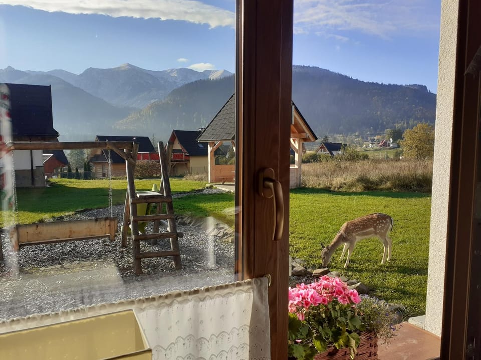 Patio, Spring, Day, Natural landscape, Garden, Garden view, Mountain view