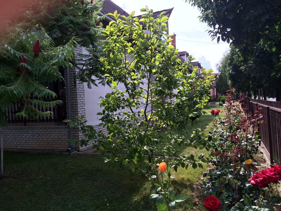 Garden, Garden