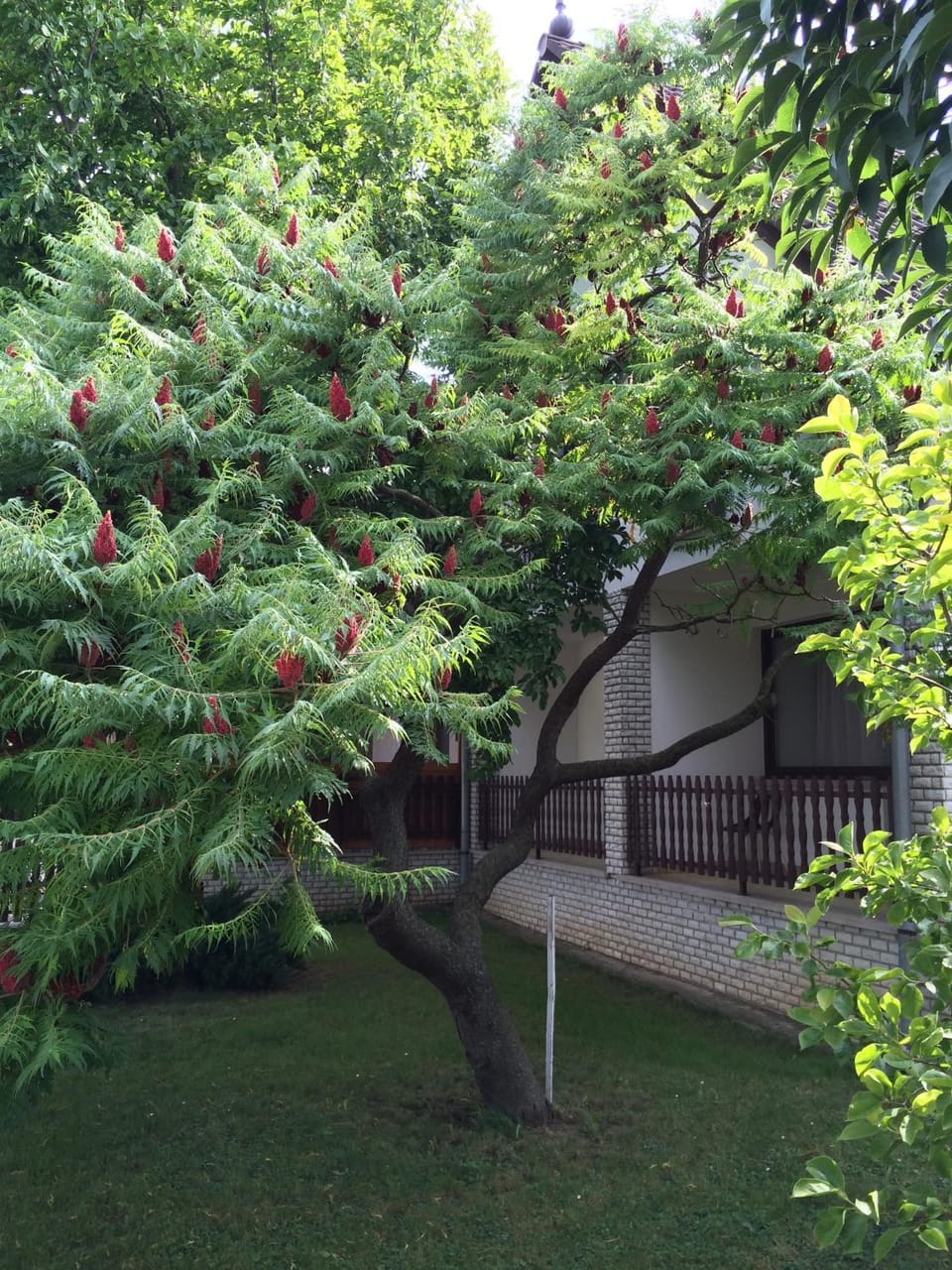 Garden, Garden