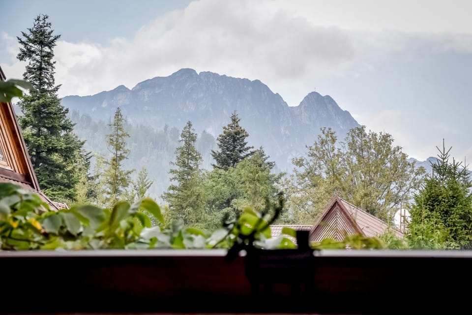 Mountain view