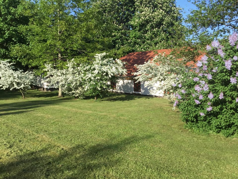 Natural landscape